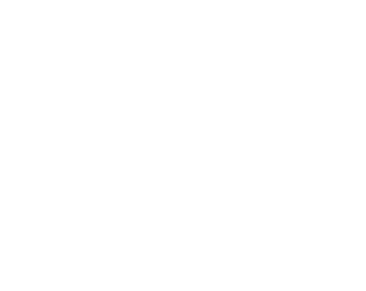 logo of the project